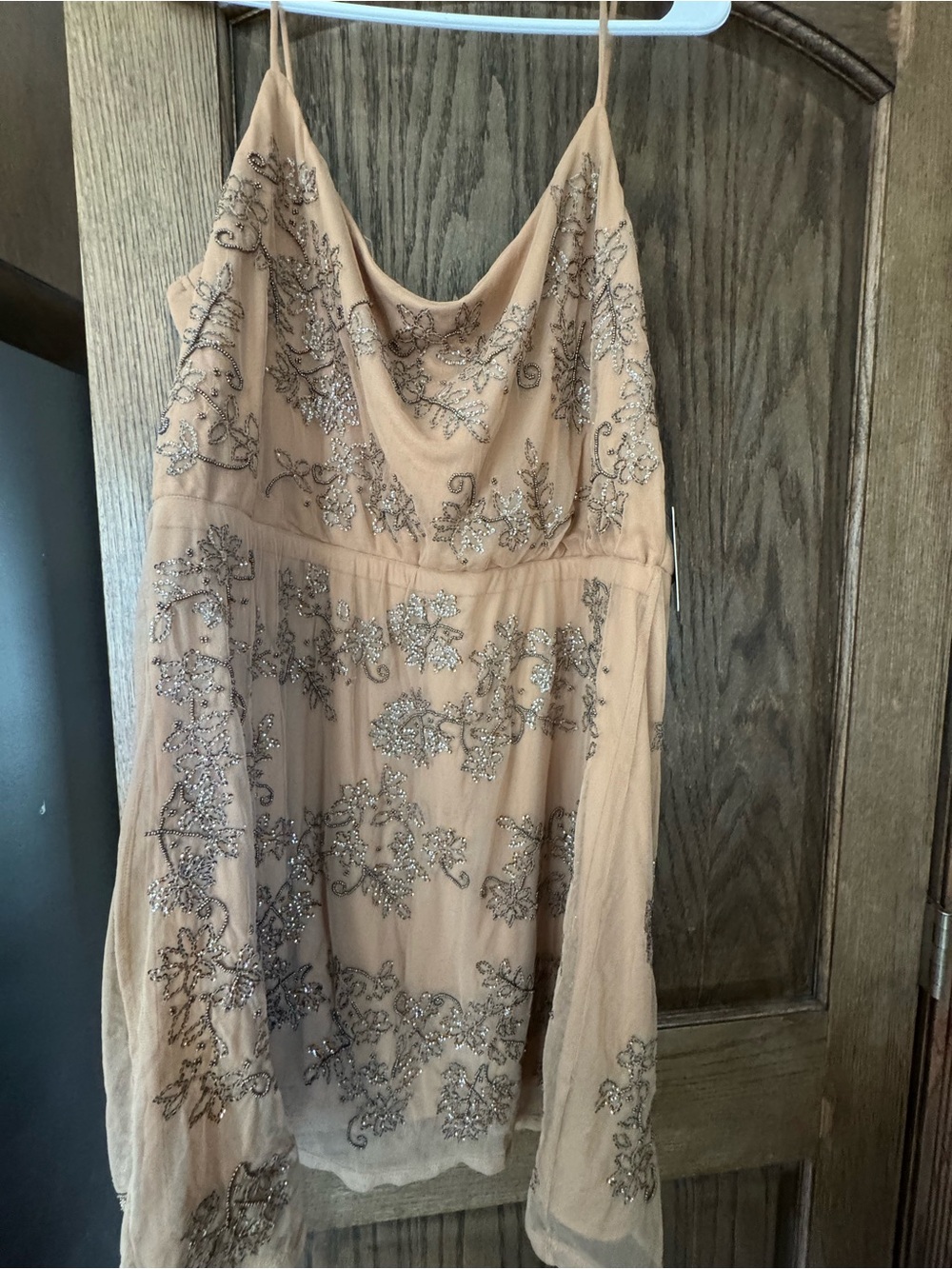 Express Beaded Mesh Dress in Blush Tan